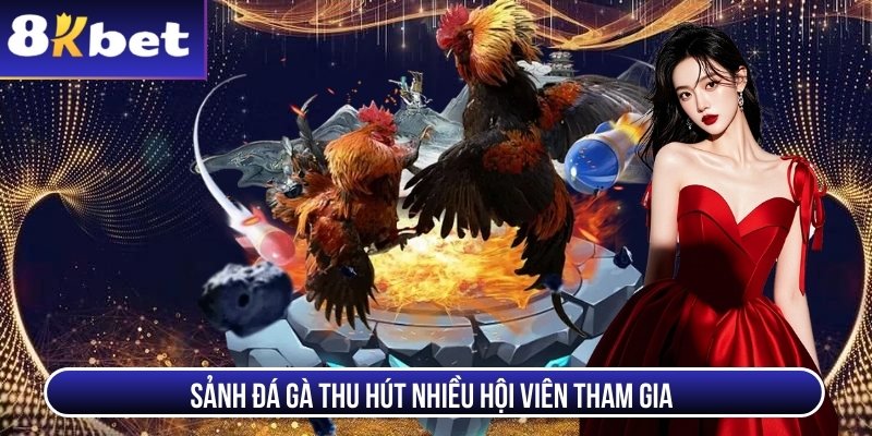 Trang chủ Sảnh đá gà thu hút nhiều hội viên tham gia